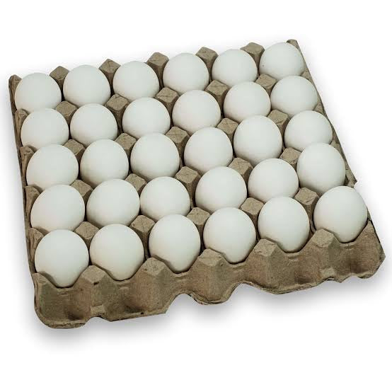 Egg (itlog)
