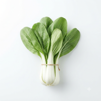Pechay (Bok choy / Chinese cabbage)