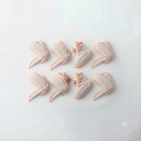 Chicken Wings (Pakpak)