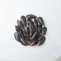 Tahong (Mussels)