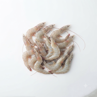 Hipon (Shrimp / Prawns)