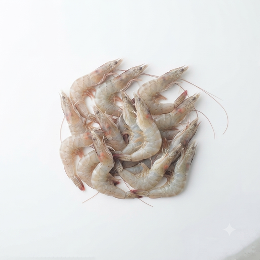 Hipon (Shrimp / Prawns)