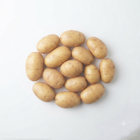 Patatas (Potato)