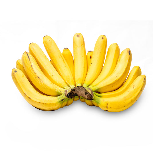 Saging Lakatan