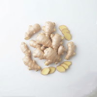 Luya (Ginger)