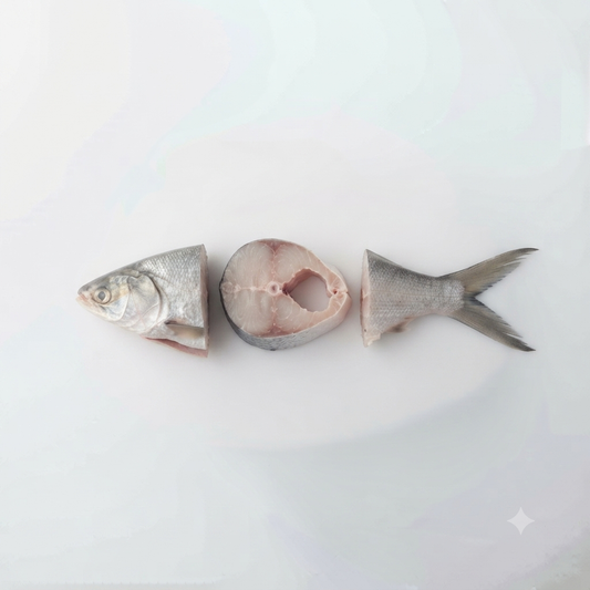 Bangus (Milkfish) - Big