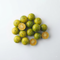 Calamansi