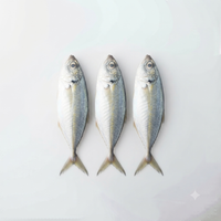 Galunggong (Round scad)