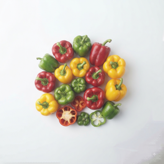 Lara (Bell Pepper)